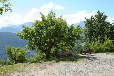 two benches sitting on top of a hill with a tree at Rumpelehof in Villandro