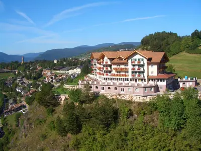 a large building on the side of a hill at Hotel Lagorai Resort & Spa in Cavalese