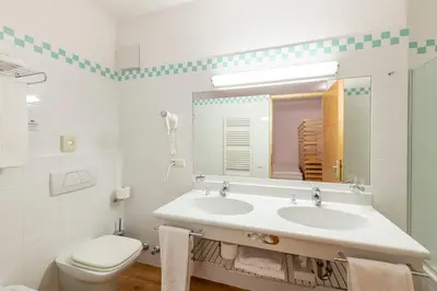a bathroom with a sink and a toilet and a mirror at Hotel Figl ***S in Bolzano