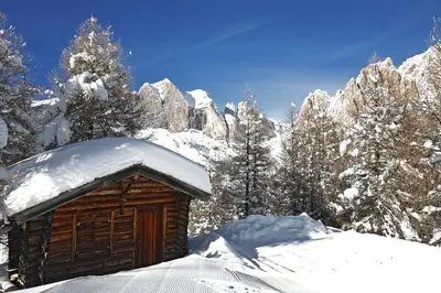 a wooden cabin covered in snow with trees and mountains at Hotel Villetta Maria Cottage in Canazei