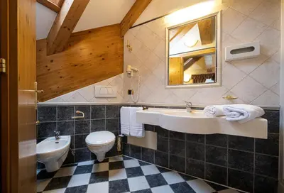 a bathroom with a sink and a toilet and a mirror at Hotel Soreghes Gran Chalet in Campitello di Fassa