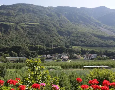 a view of a valley with flowers and mountains at Gruberhof in Postal