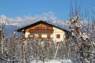 a house in the snow next to a vineyard at Gruberhof in Postal