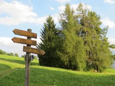a wooden sign with arrows on a field at Hotel Alpino in Varena