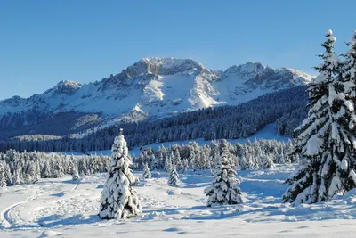 a snow covered mountain with trees in the foreground at Hotel Alpino in Varena