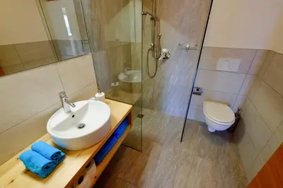 a bathroom with a sink and a shower and a toilet at Agriturismo Reinhof in San Felice