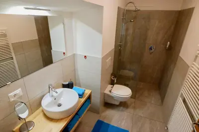 a bathroom with a sink and a shower and a toilet at Agriturismo Reinhof in San Felice