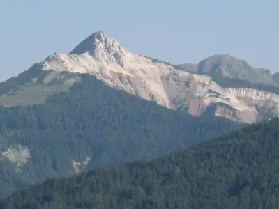 a snow covered mountain with trees in front of it at Pension Höggerhof in Nova Ponente