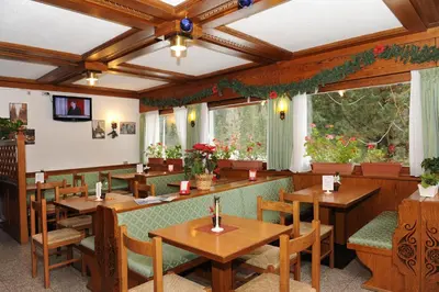 a restaurant with wooden tables and chairs and christmas decorations at Hotel Bucaneve in Moena