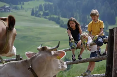 two children standing on a fence looking at a cow at Hotel Falken in Falzes
