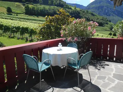 a table and chairs on a patio with a view of a vineyard at Residence Hof am Keller in Montagna