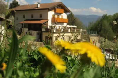 a field of yellow flowers in front of a house at Winklerhof in Parcines