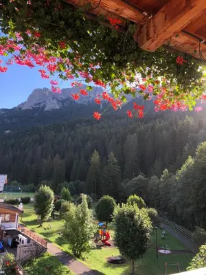 a view of a mountain with flowers hanging from a ceiling at Park Hotel Avisio in Soraga