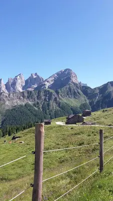 a fence in a field with mountains in the background at Baita Casera Caviazza in Falcade