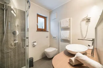 a bathroom with a toilet and a shower and a sink at Arjentel Lodge in Selva di Val Gardena
