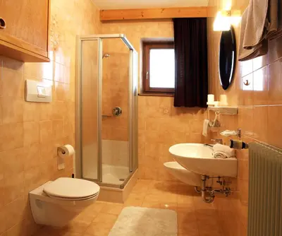 a bathroom with a shower and a toilet and a sink at Apartments Ruac in La Valle