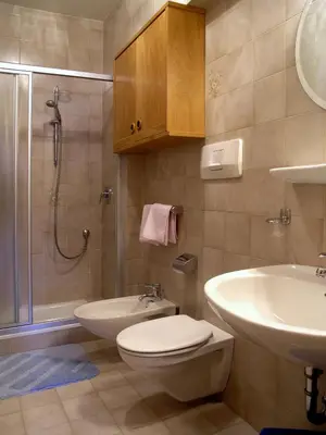 a bathroom with a toilet and a sink and a shower at Apartments Ruac in La Valle