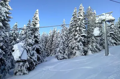 a ski lift in front of snow covered trees at Villa Perla in Selva di Val Gardena