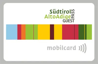 a diagram of a color bar with the text schizophrenia intolerance and gust at Windsor Merano Hotel & Suites in Merano