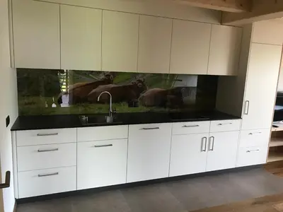 a kitchen with white cabinets with cows in the background at Balgnerhof in Laion