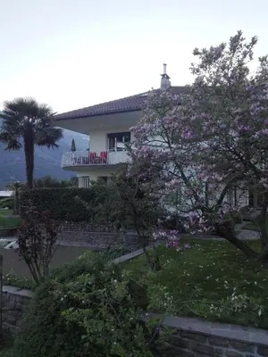 a house with a flowering tree in front of it at Torilan in Terlano