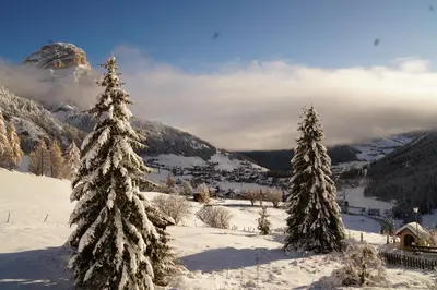 two trees in the snow with a mountain in the background at Chalet Cogolara in Colfosco