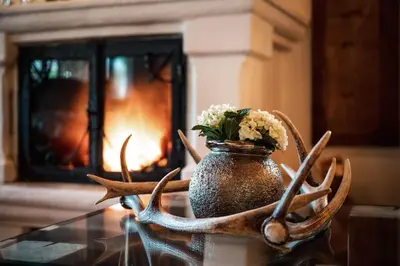 a deer antlers and a vase with flowers on a table at Hotel Antines in La Villa
