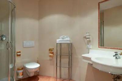 a bathroom with a sink and a toilet and a shower at Hotel Sachsenklemme in Fortezza