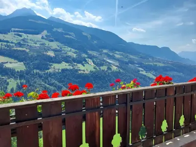 a bunch of red flowers on a wooden fence at Stuberhof in Rifiano
