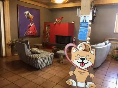 a room with a cat toy on the floor at Alpine Touring Hotel-petfriendly in Pozza di Fassa