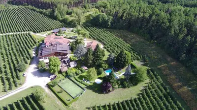 an aerial view of a large house in a vineyard at Hotel Flötscherhof in Naz-Sciaves