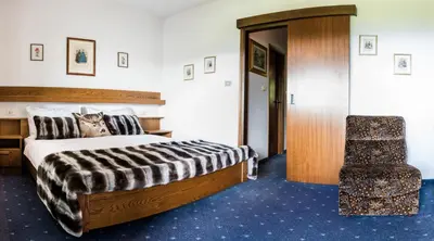 a hotel room with a bed and a chair at Apartment Matilde in Vols am Schlern