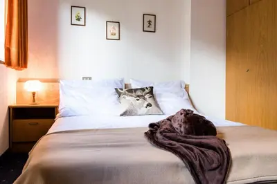 a bedroom with a bed with a cat pillow on it at Apartment Matilde in Vols am Schlern