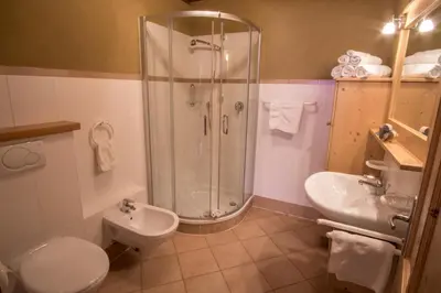 a bathroom with a shower and a toilet and a sink at Stifterhof in Villabassa