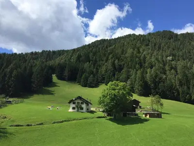 a green field with a house in the middle of a mountain at Hotel Isolabella Wellness in Fiera di Primiero