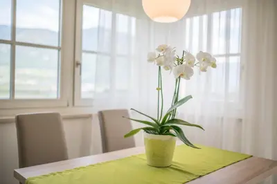 a vase with white flowers sitting on a table at Gutshof Rellich in Termeno
