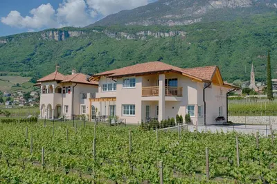 a house in a vineyard in front of a mountain at Gutshof Rellich in Termeno