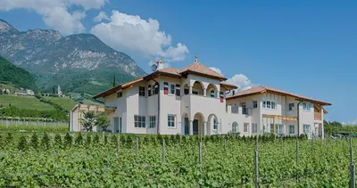 a house in a vineyard with mountains in the background at Gutshof Rellich in Termeno