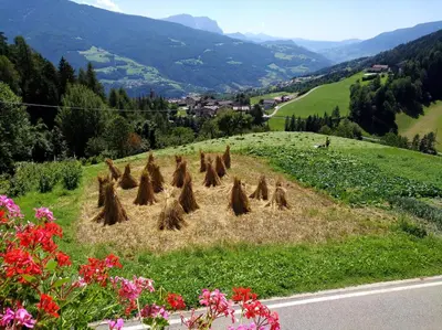 a pile of hay on the side of a hill with flowers at Obermoserhof in Feldthurns