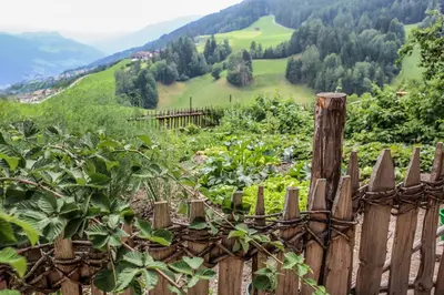 a wooden fence with a view of a mountain at Obermoserhof in Feldthurns