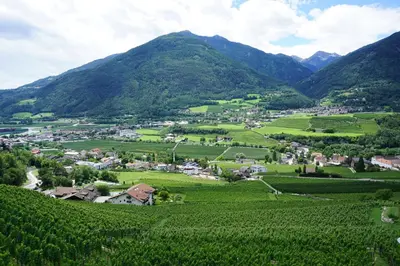 a village in a vineyard in the mountains at BUEHLERHOF Urlaub mit Kind & Hund, Obst-& Weingut, Brixen in Rosa