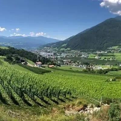BUEHLERHOF Urlaub mit Kind & Hund