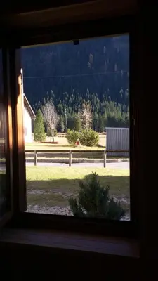a window view of a yard with a bench at CasaMau Trilo in Campitello di Fassa