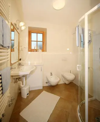 a bathroom with a sink and a toilet and a shower at Ciasa Medalghes in San Martino in Badia