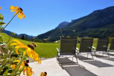 a row of empty chairs with a bee on a flower at Agriturismo Anví in Badia