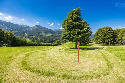 a tree in a field with a winding road at Residence Des Alpes in Cavalese