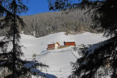 a building on a snow covered slope with trees at Obererhof in SantʼAndrea in Monte