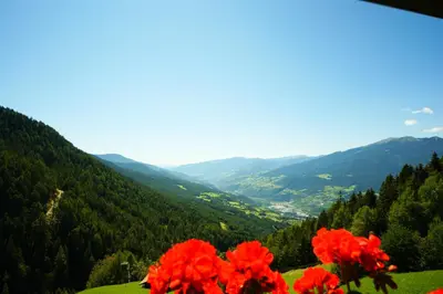 a view of a valley with red flowers at Obererhof in SantʼAndrea in Monte