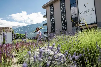 a woman walking through a field of purple flowers at Vinea - Apartments in Tirolo
