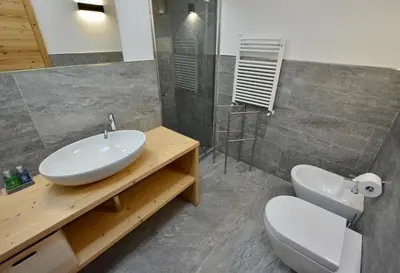 a bathroom with a sink and a toilet at Le Suite della nonna Teresina in Moena